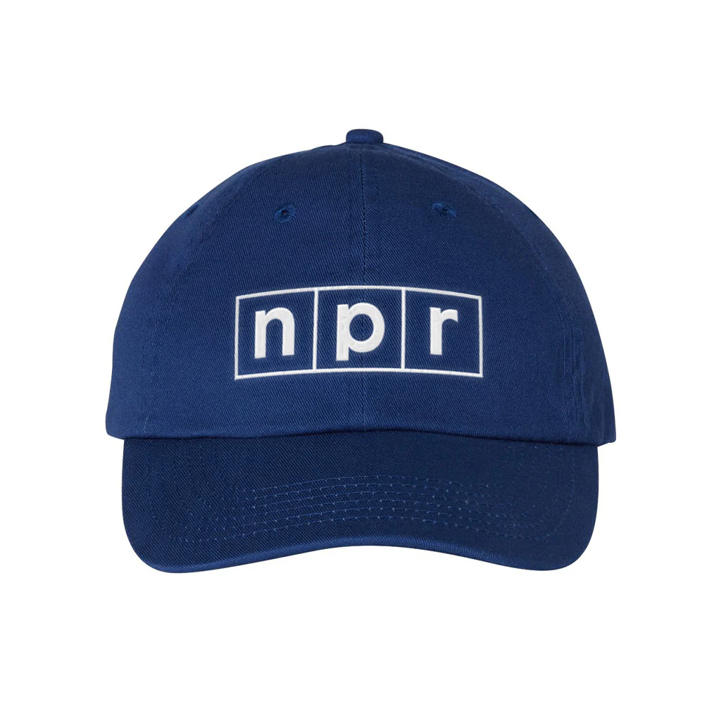 NPR Single-Color Logo Dad Hat - Image 3